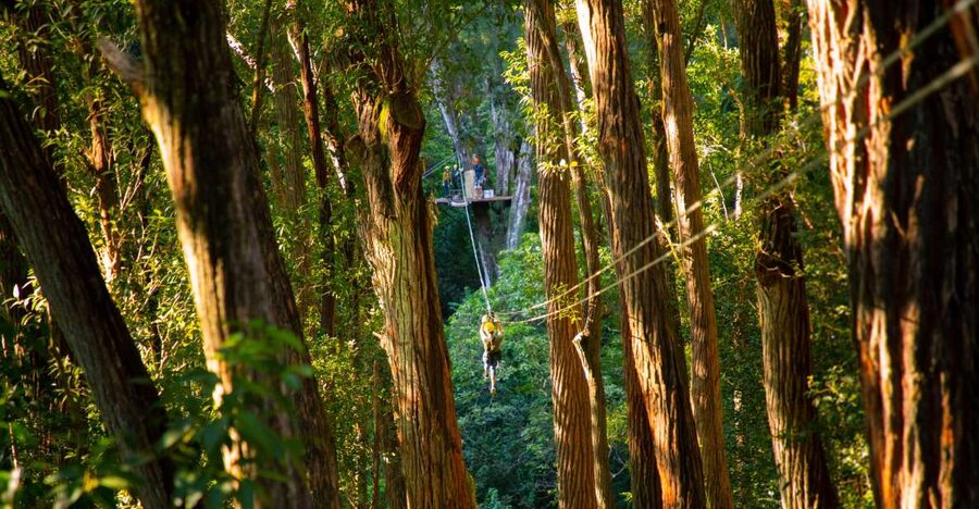 Big Island: 3-Hour Kohala Canopy Zipline Adventure - The practical clothing rules matter