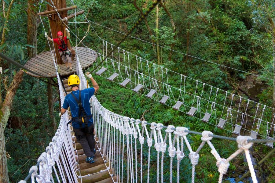 Big Island: 3-Hour Kohala Canopy Zipline Adventure - Booking, cancellation, and group planning