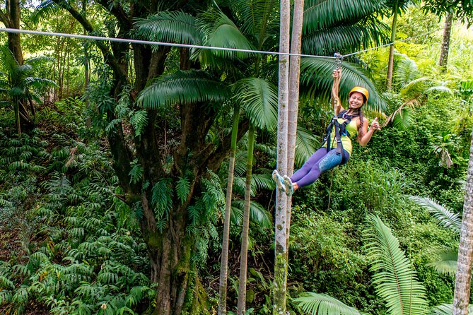 Big Island: 8-Zipline & Suspension Bridge Waterfall Adventure - Key points at a glance