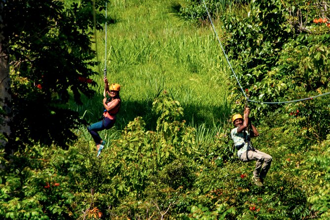 Big Island: 8-Zipline & Suspension Bridge Waterfall Adventure - Botanical World is more than a zipline platform