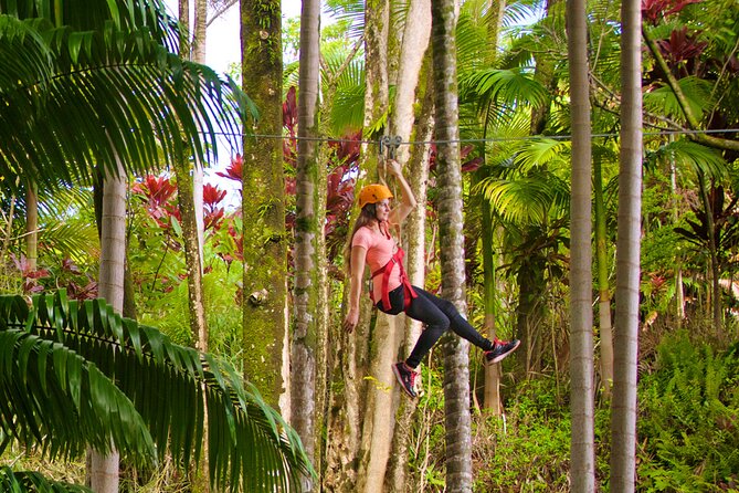 Big Island: 8-Zipline & Suspension Bridge Waterfall Adventure - Getting there requires careful planning