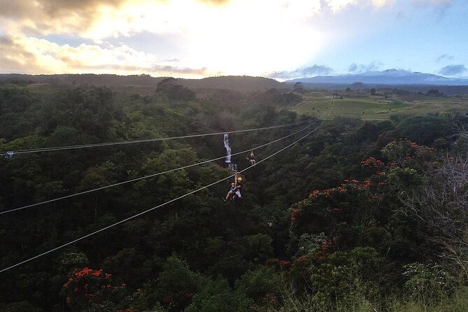 Big Island: 8-Zipline & Suspension Bridge Waterfall Adventure - A suspension bridge adds a short walking challenge
