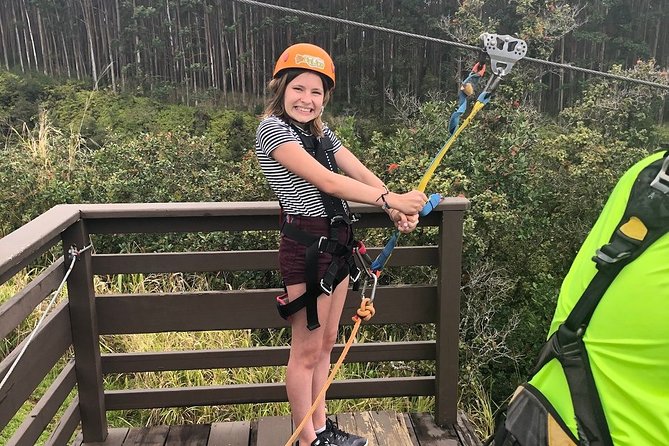 Big Island: 9-Line Waterfall Zipline Experience - The Ride Above Umauma Falls