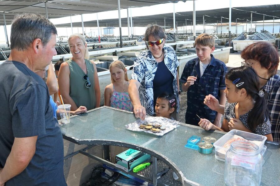 Big Island: Abalone Farm Guided Tour with Tasting - Touching the abalone and seeing how they grow