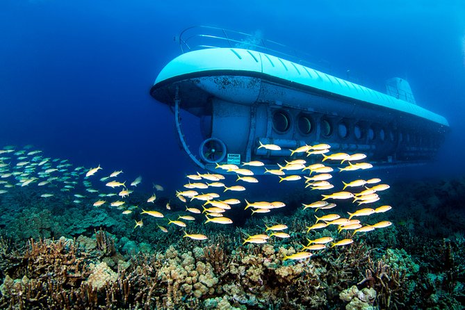 Big Island: Atlantis Submarine from Kona Beach - Kona’s underwater world, seen from a submarine