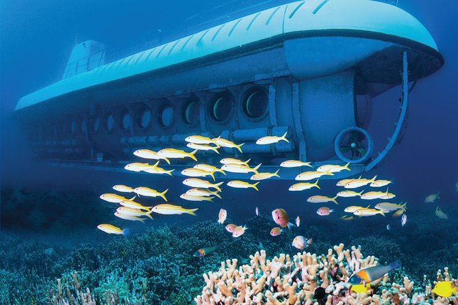 Big Island: Atlantis Submarine from Kona Beach - Timing, check-in, and a few practical cautions