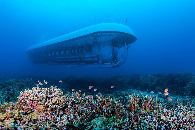 Big Island: Atlantis Submarine from Kona Beach - From Kona Beach to the 48-passenger submarine