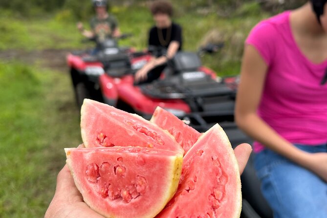 Big Island ATV Tour at Ohana Ranch - Key points to know before you book