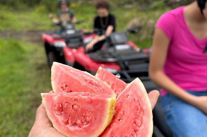 Big Island ATV Tour at Ohana Ranch - Mud, rain, and what to wear