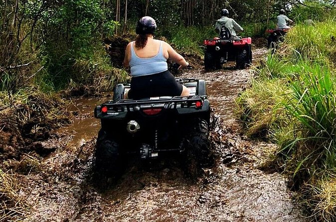 Big Island ATV Tour at Ohana Ranch - Is $89 a fair price?