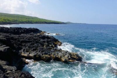Captain Cook Sightseeing & Snorkel Expedition