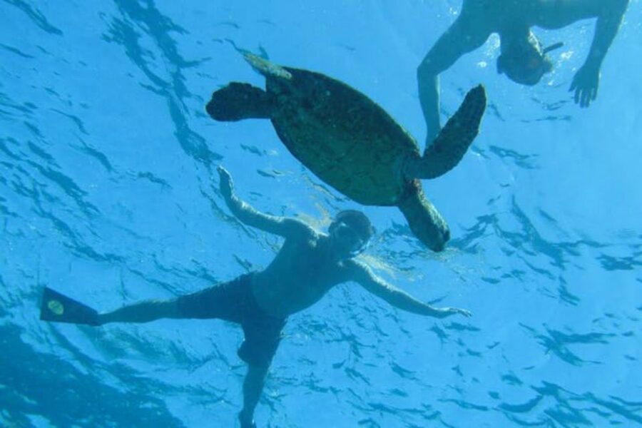 Big Island: Captain Cook Sightseeing & Snorkel Expedition - Is the $124 price good value?