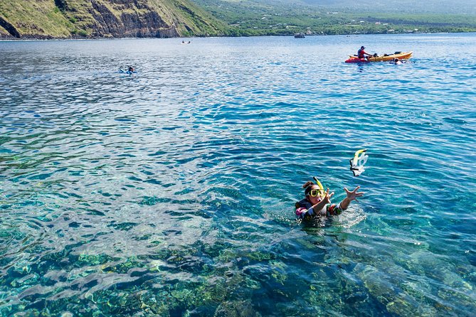 Big Island: Captain Cook Snorkel On A Power Catamaran With Lunch - What the power catamaran adds