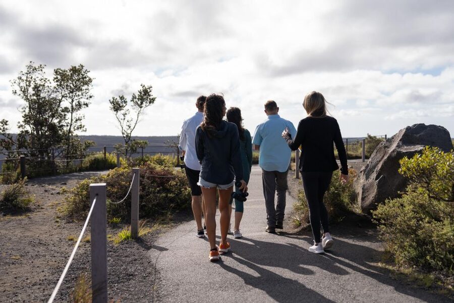 Big Island: Coffee, Black Sand, Volcano and Waterfall Tour - Who will enjoy this 11-hour day