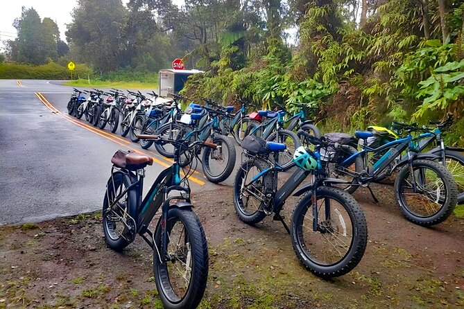 Big Island: Fat Tire E-Bike Tour through Volcanoes National Park - What $199 buys you, and when it feels fair