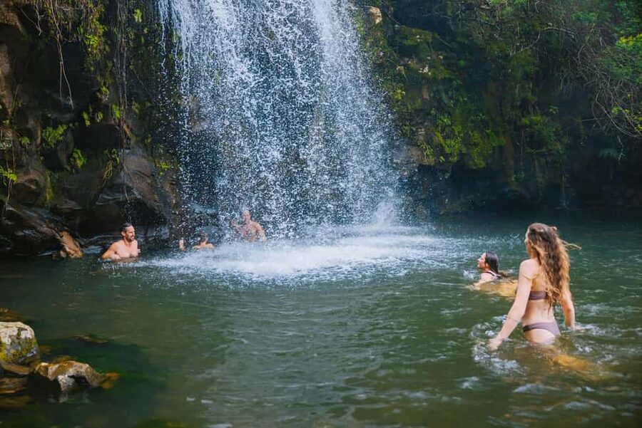 Big Island: Full Day Adventure Tour of the Kohala Waterfalls - The ride north to Hawi