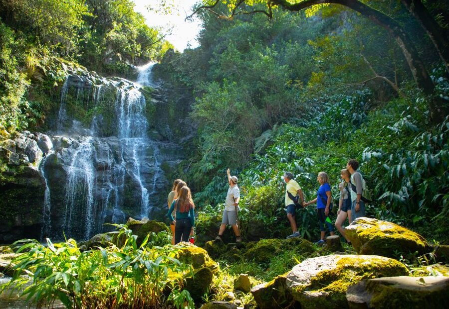 Big Island: Full Day Adventure Tour of the Kohala Waterfalls - Waterfalls and a mountain-stream swim