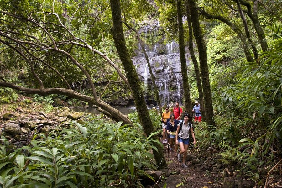Big Island: Full Day Adventure Tour of the Kohala Waterfalls - The Pololu overlook and picnic lunch