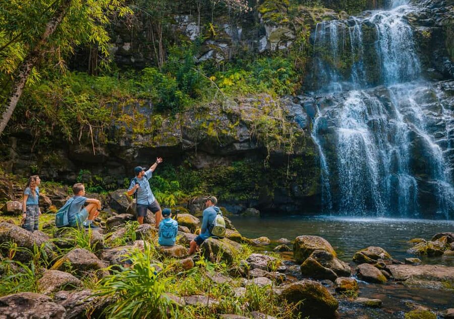 Big Island: Full Day Adventure Tour of the Kohala Waterfalls - Who will enjoy this tour most
