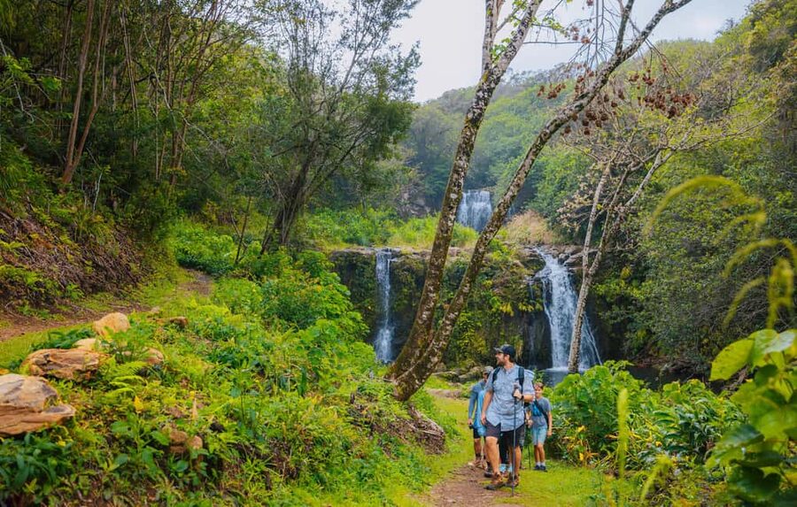 Big Island: Full Day Adventure Tour of the Kohala Waterfalls - Should you book the Kohala Waterfalls tour?