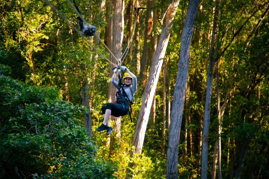 Big Island: Full-Day Kohala Zipline and Waterfall Adventure - From Kona to Hawi, with Kohala as the destination