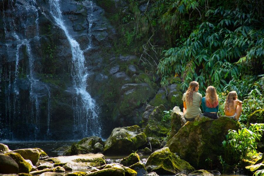 Big Island: Full-Day Kohala Zipline and Waterfall Adventure - Swimming under a private waterfall