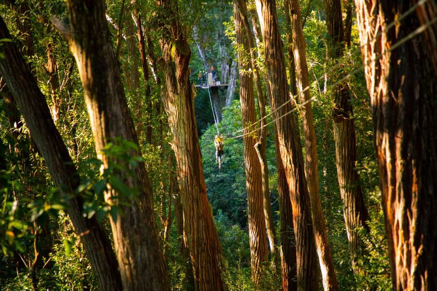 Big Island: Full-Day Kohala Zipline and Waterfall Adventure - Why the small group matters