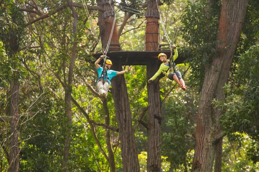Big Island: Full-Day Kohala Zipline and Waterfall Adventure - Who should book this day