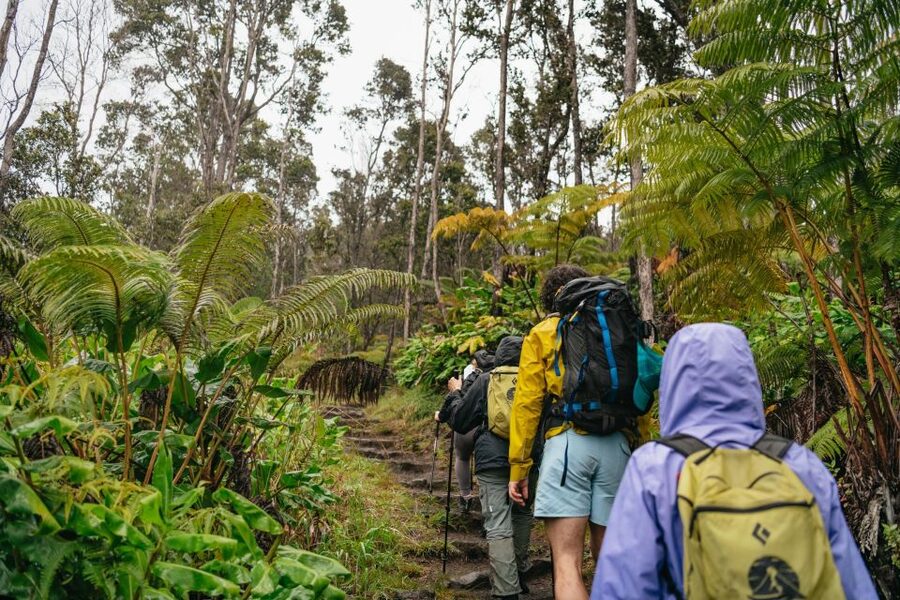 Big Island: Hawai'i Volcanoes National Park Guided Hike - Why Kilauea Iki makes this hike worth your time