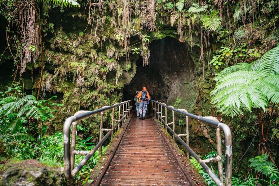 Big Island: Hawai'i Volcanoes National Park Guided Hike - Through rainforest and native Hawaiian habitat