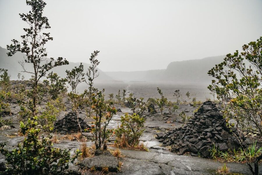 Big Island: Hawai'i Volcanoes National Park Guided Hike - Steam vents and the volcanic caldera