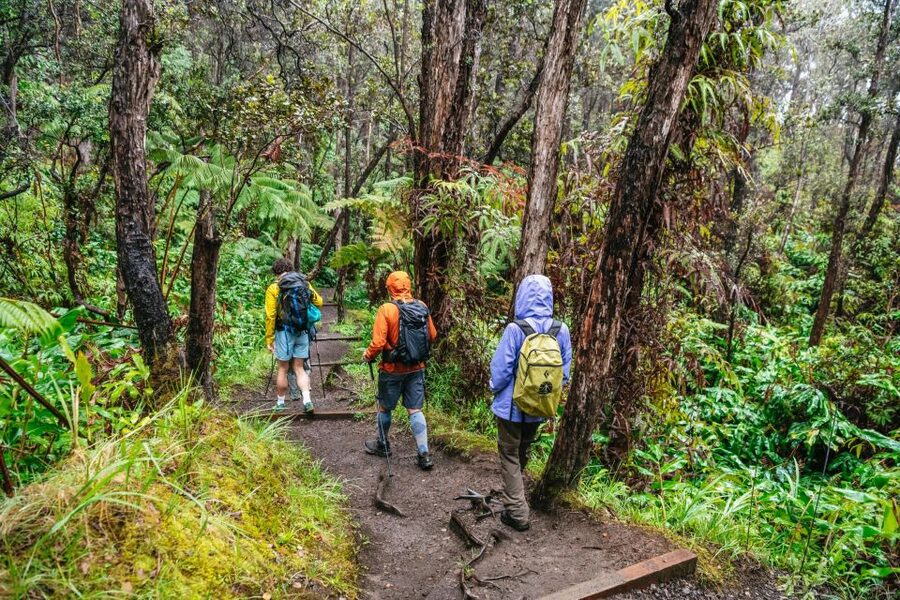 Big Island: Hawai'i Volcanoes National Park Guided Hike - Breakfast and the picnic: useful, but confirm the details