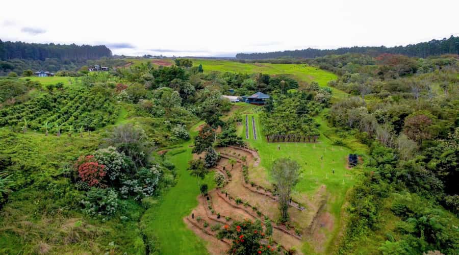 Big Island Hawaii: Craft Chocolate Tasting and Farm Tour - A cacao farm five minutes from Hilo