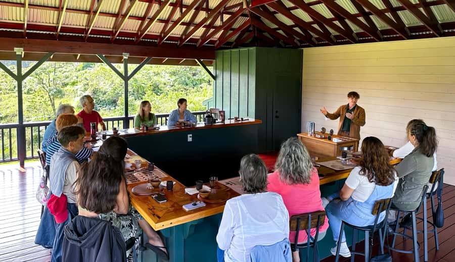 Big Island Hawaii: Craft Chocolate Tasting and Farm Tour - Chocolate history from Mesoamerica to Hawaii