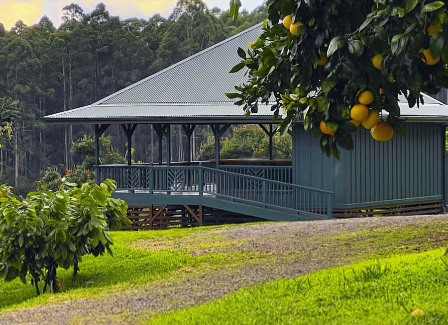 Big Island Hawaii: Craft Chocolate Tasting and Farm Tour - Ten Hawaiian bars, plus a few extras
