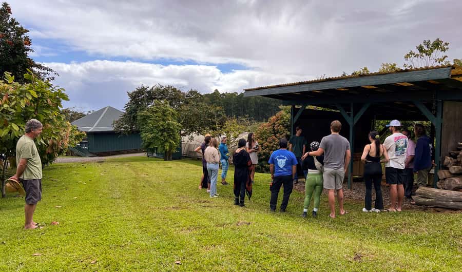 Big Island Hawaii: Craft Chocolate Tasting and Farm Tour - Timing, transport, and practical planning