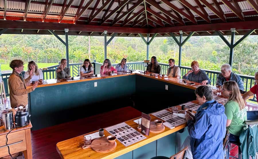 Big Island Hawaii: Craft Chocolate Tasting and Farm Tour - Why fermentation matters so much