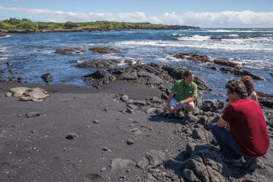 Big Island, Hawaii: Volcano and Stargazing Tour with Dinner - Night views, Saddle Road, and stargazing