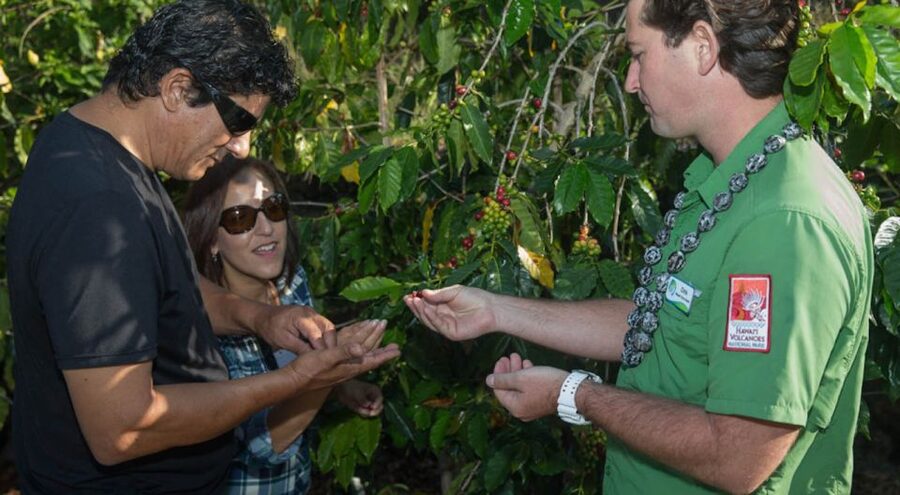Big Island, Hawaii: Volcano and Stargazing Tour with Dinner - The guide can make or break a 12-hour day