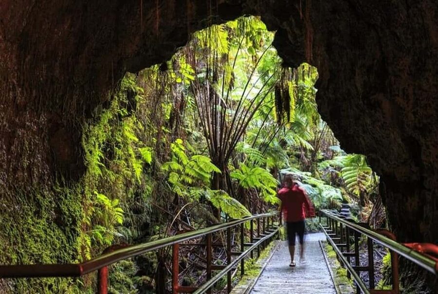 Big Island Hawaii Volcano Day tour from Oahu and Hotel PU - Who should book this tour