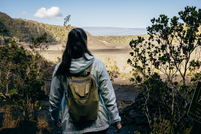 Big Island Highlights: Coffee, Volcano, Black Sands & Waterfall - Greenwell Farms and the Kona coffee story
