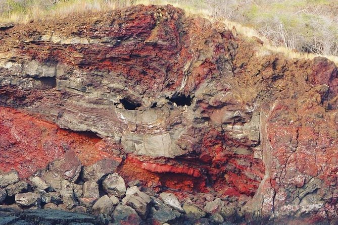 Big Island Historical Dinner Cruise to Kealakekua Bay - Sunset, music, and the ride home