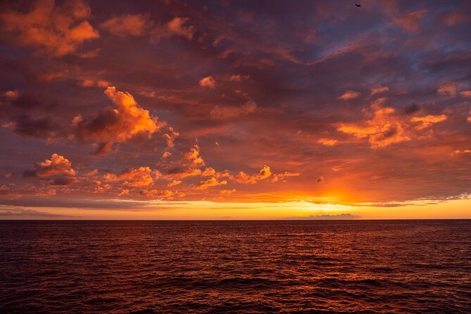 Big Island Historical Dinner Cruise to Kealakekua Bay - Is the $189.19 price fair?