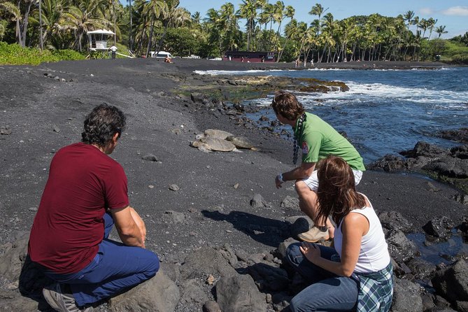 Big Island in a Day: Volcanoes Waterfalls Sightseeing and History - Lunch, pace, and physical effort