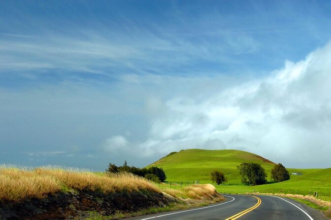 Big Island Kohala Canopy Zipline Adventure - Key points at a glance