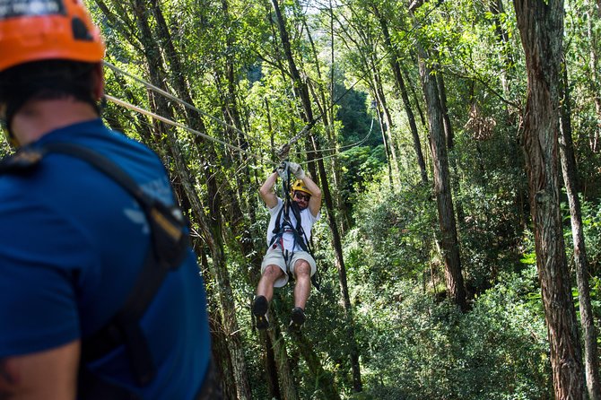 Big Island Kohala Canopy Zipline Adventure - Kohala’s forest is the real setting