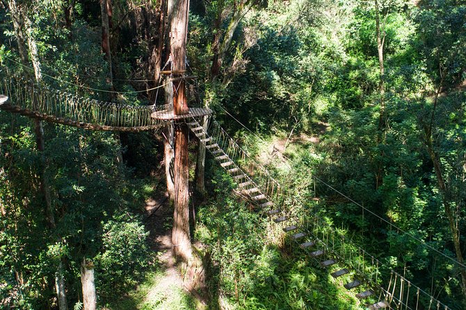 Big Island Kohala Canopy Zipline Adventure - What to wear for comfort and safety
