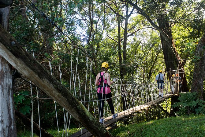 Big Island Kohala Canopy Zipline Adventure - Is $256.54 a fair price?