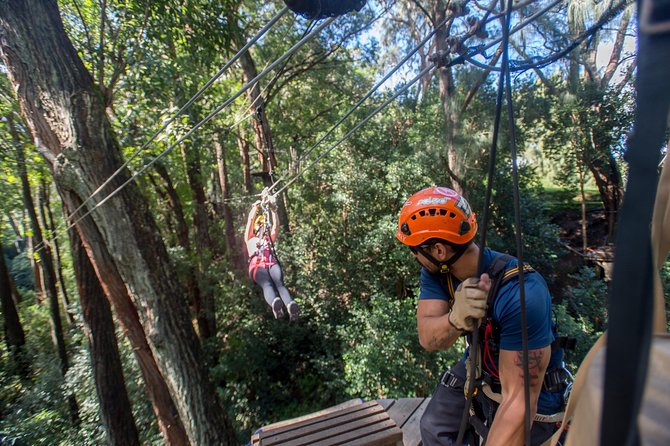 Big Island Kohala Canopy Zipline Adventure - Who should book this Kohala adventure?