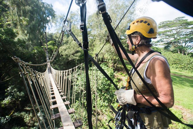 Big Island Kohala Canopy Zipline Adventure - What the three-hour route feels like
